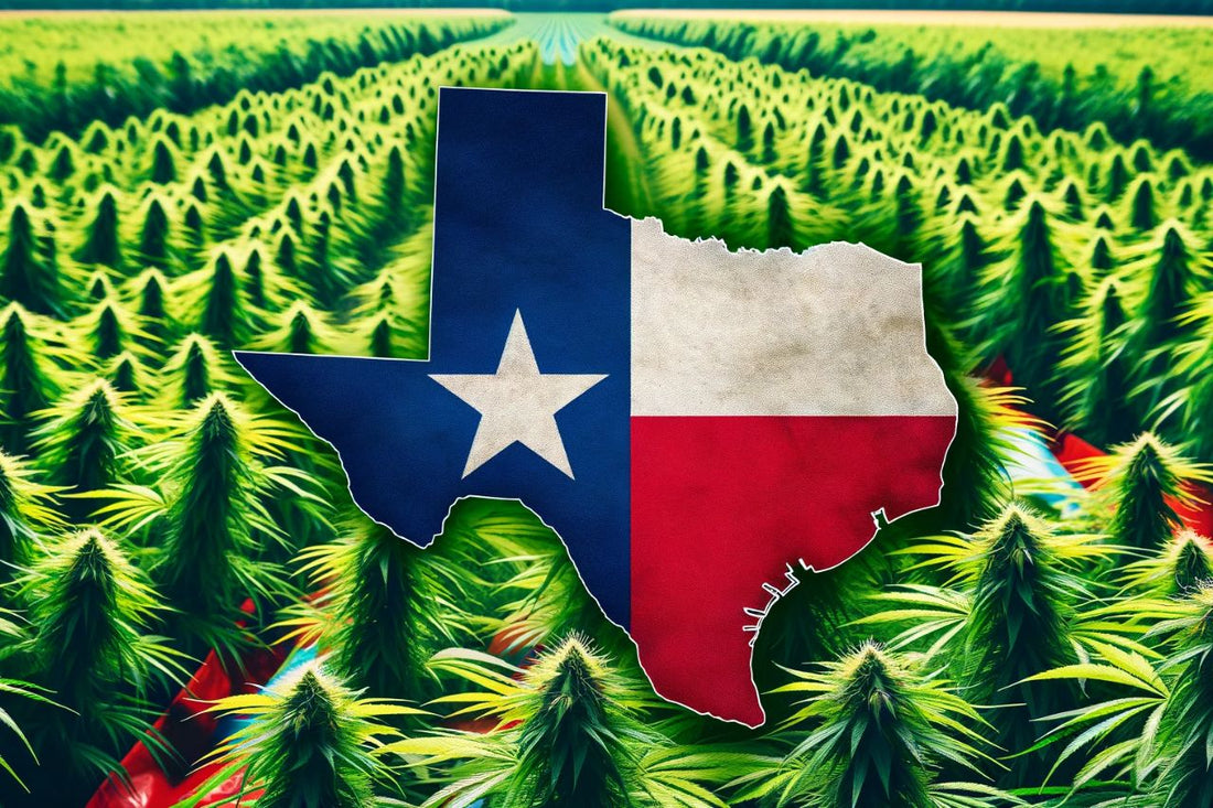 Bandiera e mappa del Texas USA
