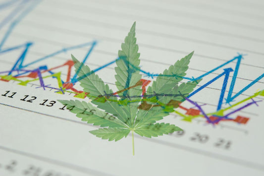 Cannabis medica: Ascesa e impatto globale