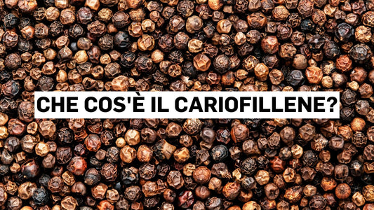 Che cos'è il cariofillene?