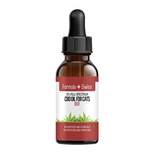 Olio di CBD per gatti in olio MCT con aroma di manzo